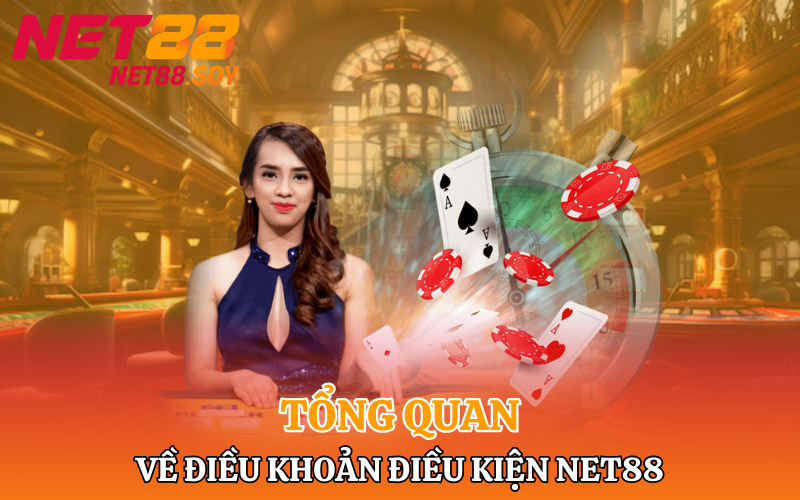Tổng quan về Điều khoản điều kiện Net88